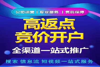 某知名品牌SEM运营策略及效果评估